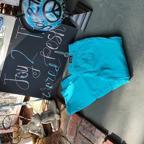 Earl Jeans Jeans Earl Turquoise 5 Pocket Denim Jeans Poshmark